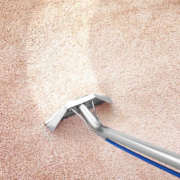 About Chandler Carpet Cleaning Pros